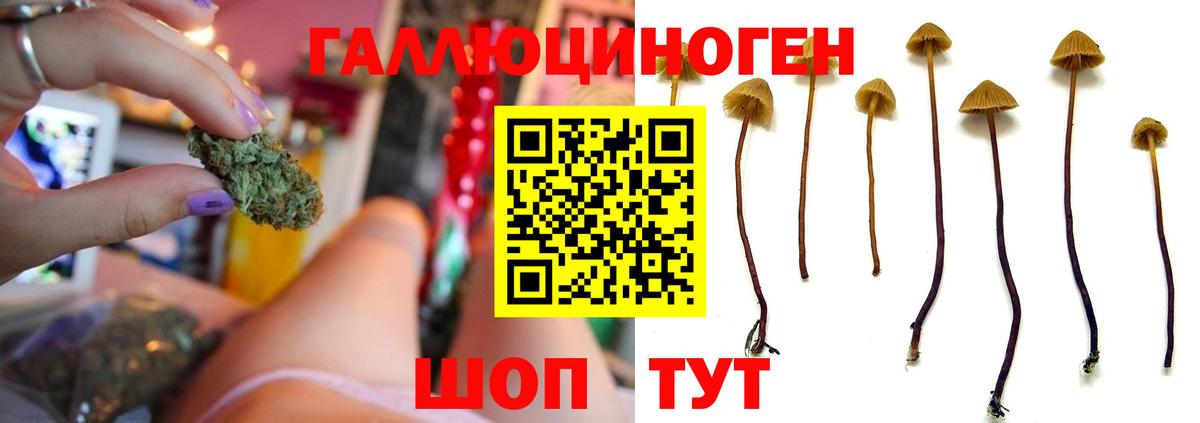 Знаменск  Галлюциногенные грибы мухоморы  Вход с VPN 